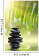 Grean Bamboo Leaves Over Zen Stones Wall Mural