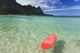 Red Surfboard Floating In Shallow Ocean Wall Mural