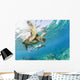 Hawaii, Maui, Green Sea Turtle Honu And Free Diver Wall Mural