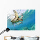 Hawaii, Maui, Green Sea Turtle Honu And Free Diver Wall Mural