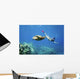 Hawaii, Maui, Green Sea Turtle Honu And Free Diver Wall Mural
