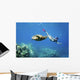 Hawaii, Maui, Green Sea Turtle Honu And Free Diver Wall Mural