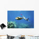 Hawaii, Maui, Green Sea Turtle Honu And Free Diver Wall Mural