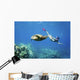 Hawaii, Maui, Green Sea Turtle Honu And Free Diver Wall Mural