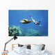 Hawaii, Maui, Green Sea Turtle Honu And Free Diver Wall Mural
