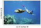 Hawaii, Maui, Green Sea Turtle Honu And Free Diver Wall Mural