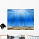Bond Marin Wall Decal