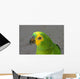 Amazon Parrot Wall Mural