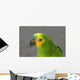 Amazon Parrot Wall Mural