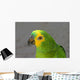 Amazon Parrot Wall Mural