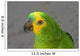 Amazon Parrot Wall Mural