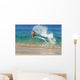 Hawaii, Maui, Makena, Skimboarder Carves Big Turn On Wave Wall Mural