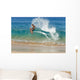 Hawaii, Maui, Makena, Skimboarder Carves Big Turn On Wave Wall Mural