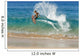 Hawaii, Maui, Makena, Skimboarder Carves Big Turn On Wave Wall Mural