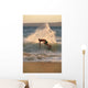 Hawaii, Maui, Makena, Skimboarder Carves Big Turn On Wave At Sunset Wall Mural