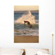 Hawaii, Maui, Makena, Skimboarder Carves Big Turn On Wave At Sunset Wall Mural