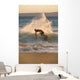 Hawaii, Maui, Makena, Skimboarder Carves Big Turn On Wave At Sunset Wall Mural