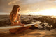 Hawaii, Maui, Makena, Surfer Girl Sitting On Sand At Sunset Wall Mural