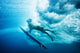 Indonesia, Bali, Surfer Duck Dives Under Wave, View From Underwater Wall Mural