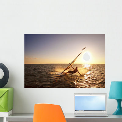 Windsurfer Sailing off Coast Wall Mural shown on a wall