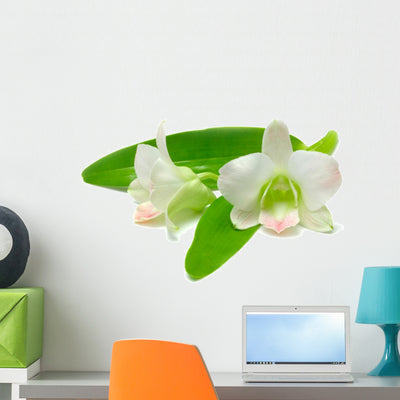 White and Pink Malaysian Wall Decal shown on a wall
