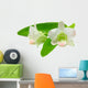 White and Pink Malaysian Orchid Wall Decal