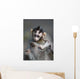 Indonesia, Bali, Ubud, A Young Macaque Rests On His Fathers Head Wall Mural