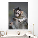 Indonesia, Bali, Ubud, A Young Macaque Rests On His Fathers Head Wall Mural