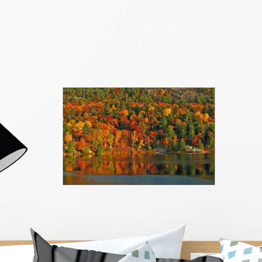 Autumn Morning Wall Decal
