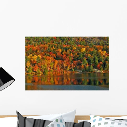 Autumn Morning Wall Decal