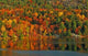 Autumn Morning Wall Decal
