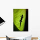 Hawaii, Gold Dust Day Gecko Silhouetted Through Sunlit Ginger Leaf Wall Mural