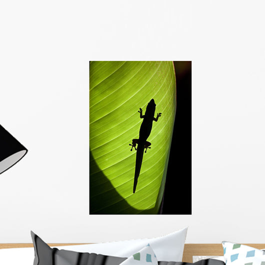 Hawaii, Gold Dust Day Gecko Silhouetted Through Sunlit Ginger Leaf Wall Mural
