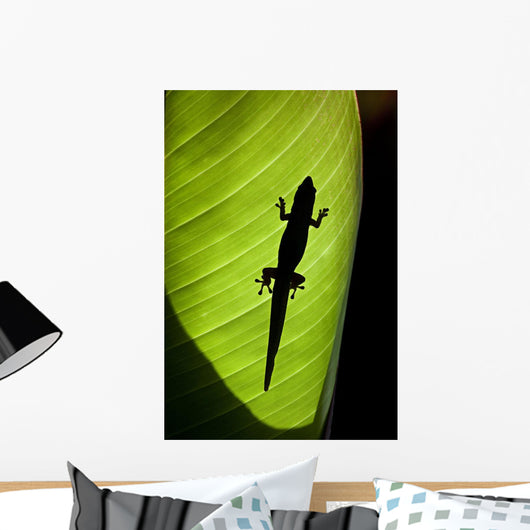 Hawaii, Gold Dust Day Gecko Silhouetted Through Sunlit Ginger Leaf Wall Mural
