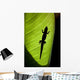 Hawaii, Gold Dust Day Gecko Silhouetted Through Sunlit Ginger Leaf Wall Mural