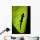 Hawaii, Gold Dust Day Gecko Silhouetted Through Sunlit Ginger Leaf Wall Mural