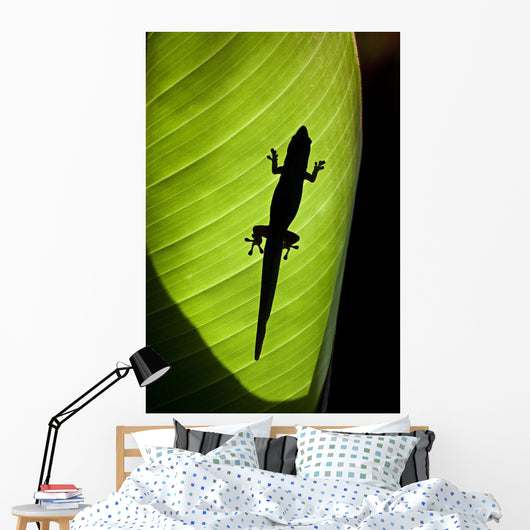 Hawaii, Gold Dust Day Gecko Silhouetted Through Sunlit Ginger Leaf Wall Mural
