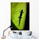 Hawaii, Gold Dust Day Gecko Silhouetted Through Sunlit Ginger Leaf Wall Mural
