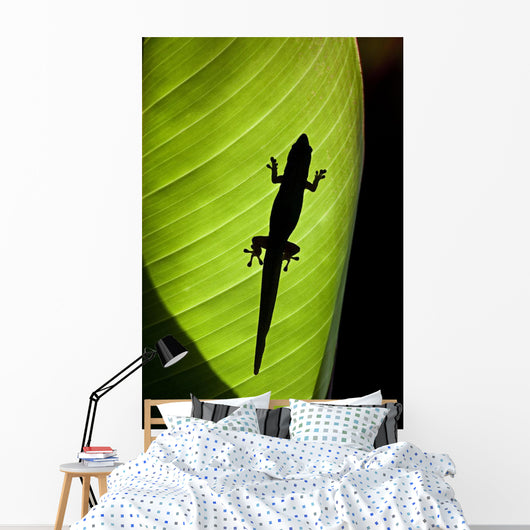 Hawaii, Gold Dust Day Gecko Silhouetted Through Sunlit Ginger Leaf Wall Mural