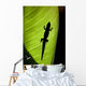 Hawaii, Gold Dust Day Gecko Silhouetted Through Sunlit Ginger Leaf Wall Mural