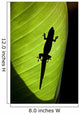 Hawaii, Gold Dust Day Gecko Silhouetted Through Sunlit Ginger Leaf Wall Mural