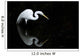Florida, Everglades, Great Egret Hunting In Shallow Water Wall Mural