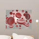 Erythrocytes Wall Mural