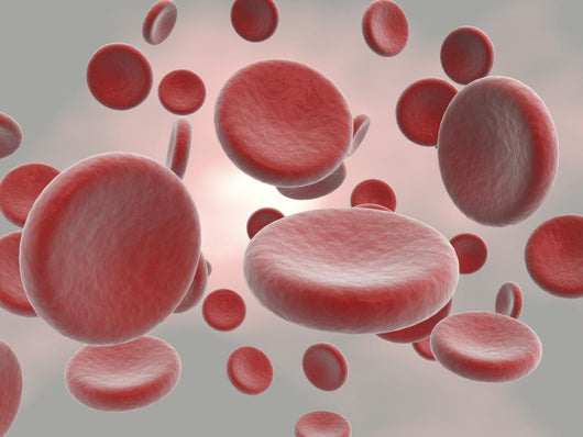 Erythrocytes Wall Mural