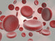Erythrocytes Wall Mural