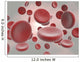 Erythrocytes Wall Mural