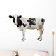 Black and White Cow Wall Decal