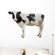Black and White Cow Wall Decal