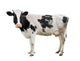 Black and White Cow Wall Decal