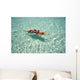 Woman Floating In Tropical Ocean Water Wall Mural